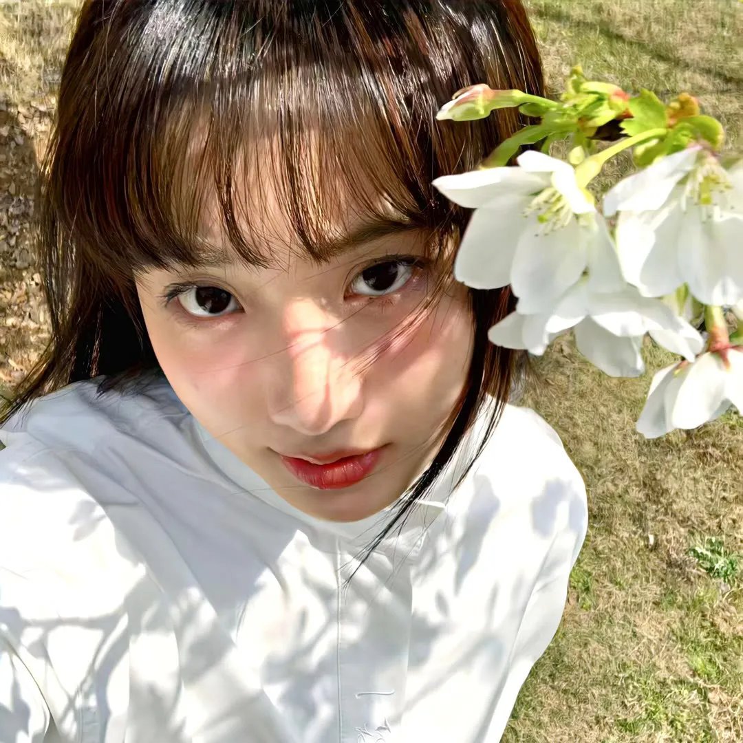夏日最后的玫瑰